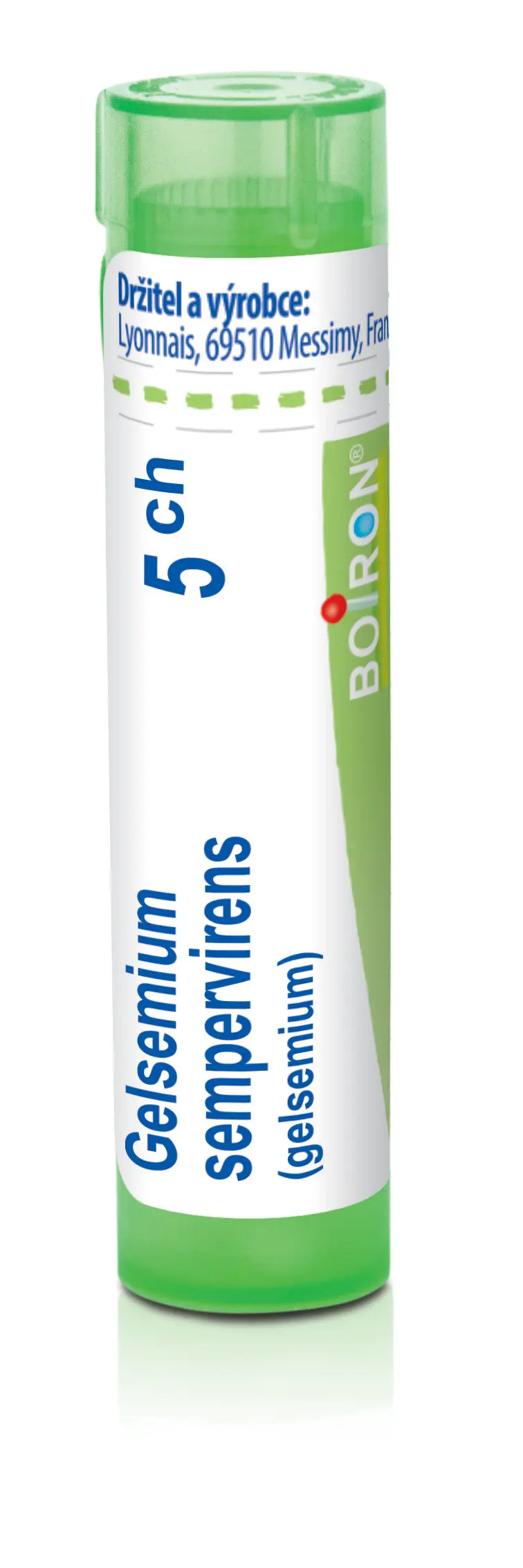 4146_GELSEMIUM SEMPERVIRENS 5